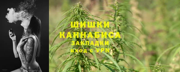 гидропоника Лагань