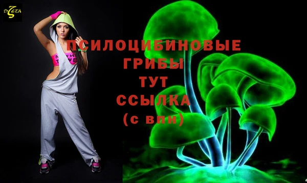 гидропоника Лагань