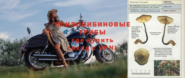 гидропоника Лагань
