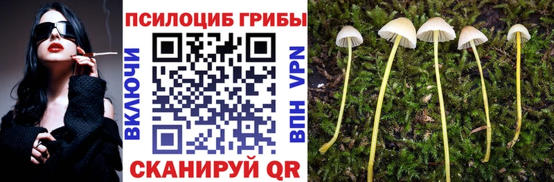Галлюциногенные грибы мицелий  купить наркоту  mega ССЫЛКА  Первоуральск 