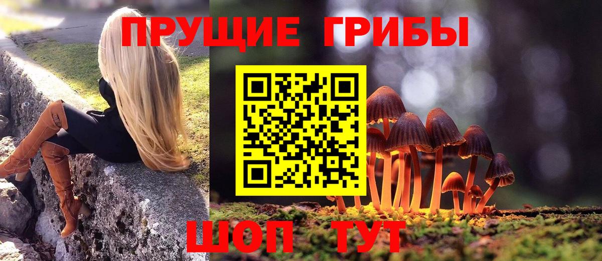 Галлюциногенные грибы прущие грибы  наркошоп  Первоуральск  Вход с VPN 